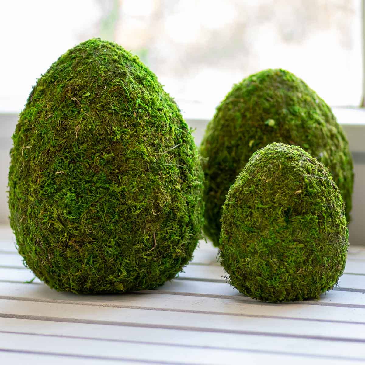 Moss Egg Decor - Large