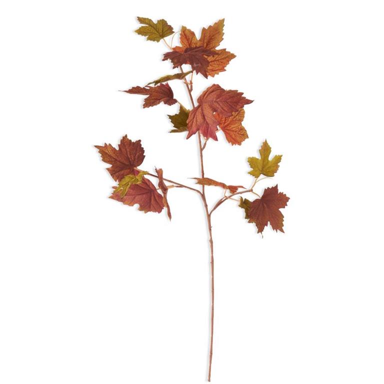 Maple Leaves Stem