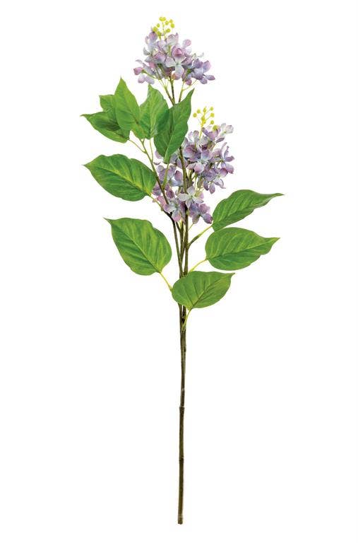 French Lilac Stem