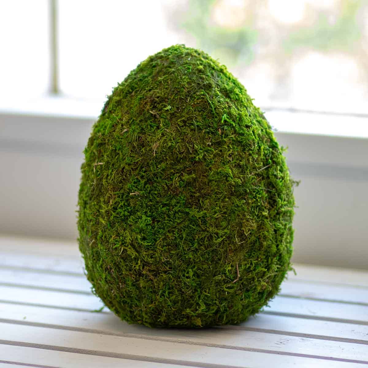 Moss Egg Decor - Large