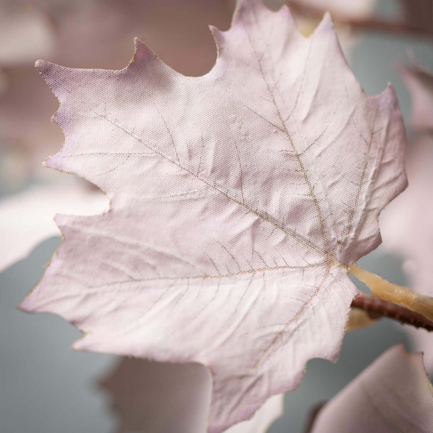 Maple Leaf Spray - Burgundy